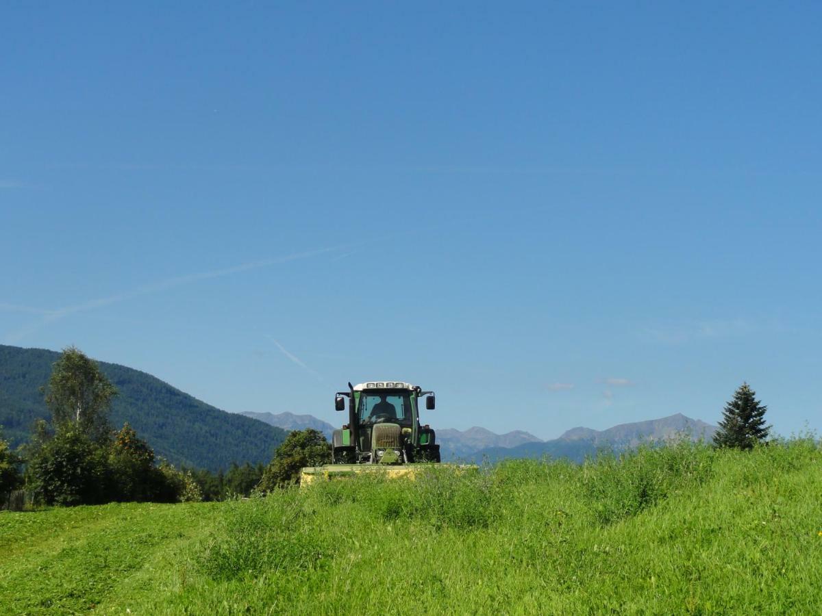 Mair Am Graben Farm * Chalets Terento Bagian luar foto